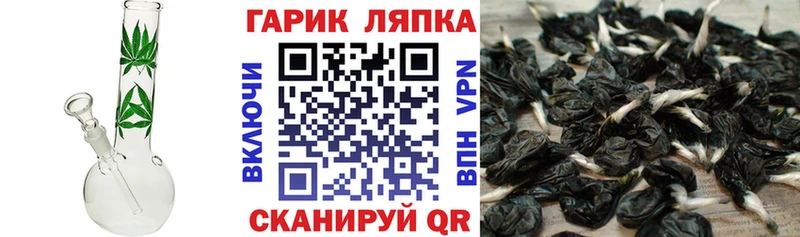 hydra зеркало Полевской darknet состав ГАШ VHQ