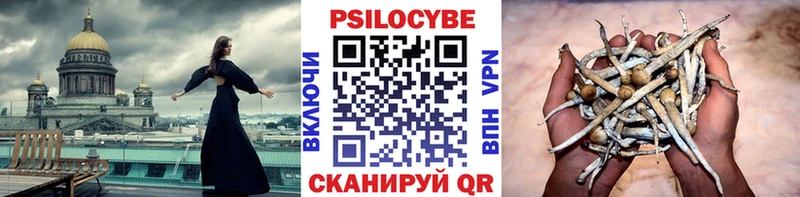 Псилоцибиновые грибы MAGIC MUSHROOMS Полевской